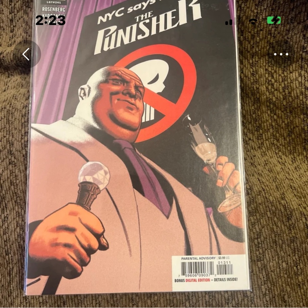 Punisher #13